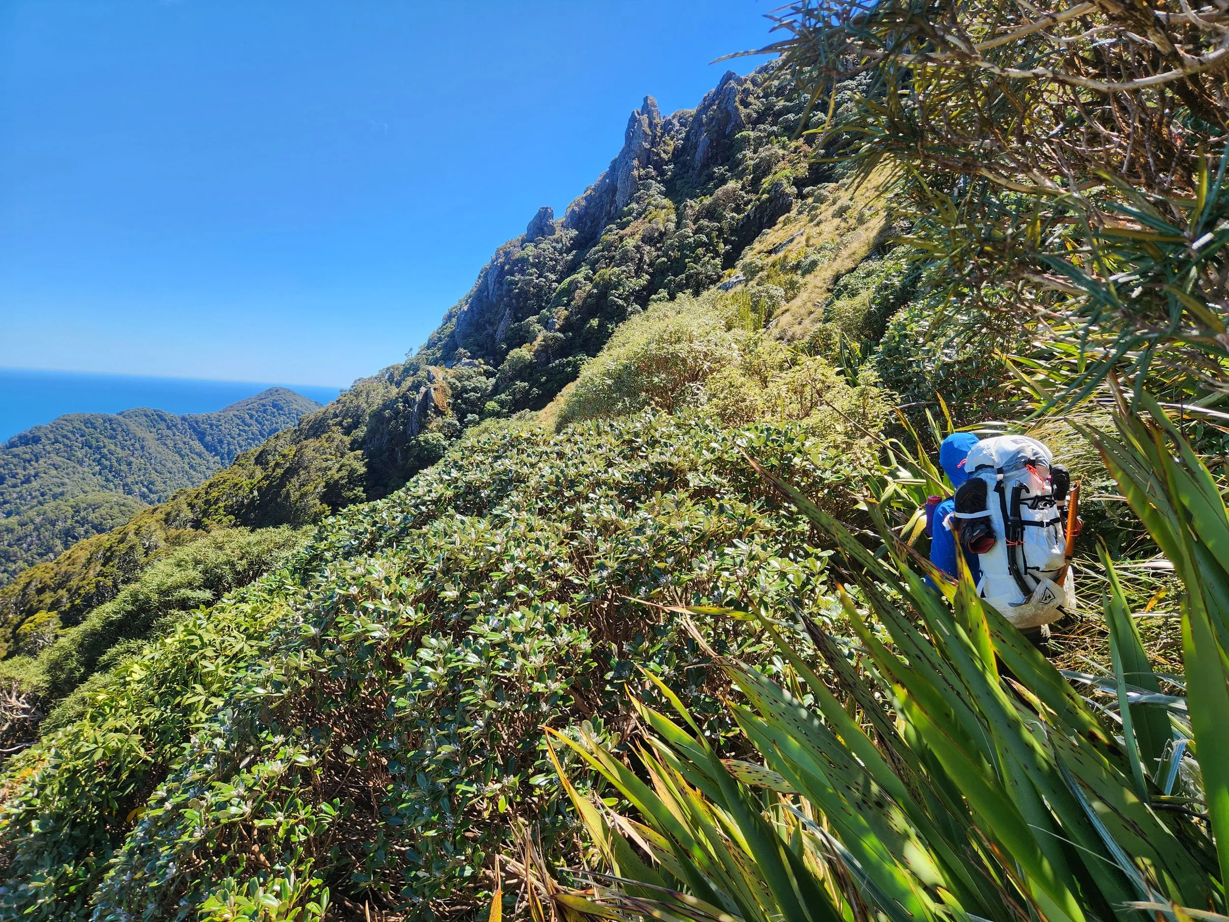 Mt Pembroke (attempt) — photo 7