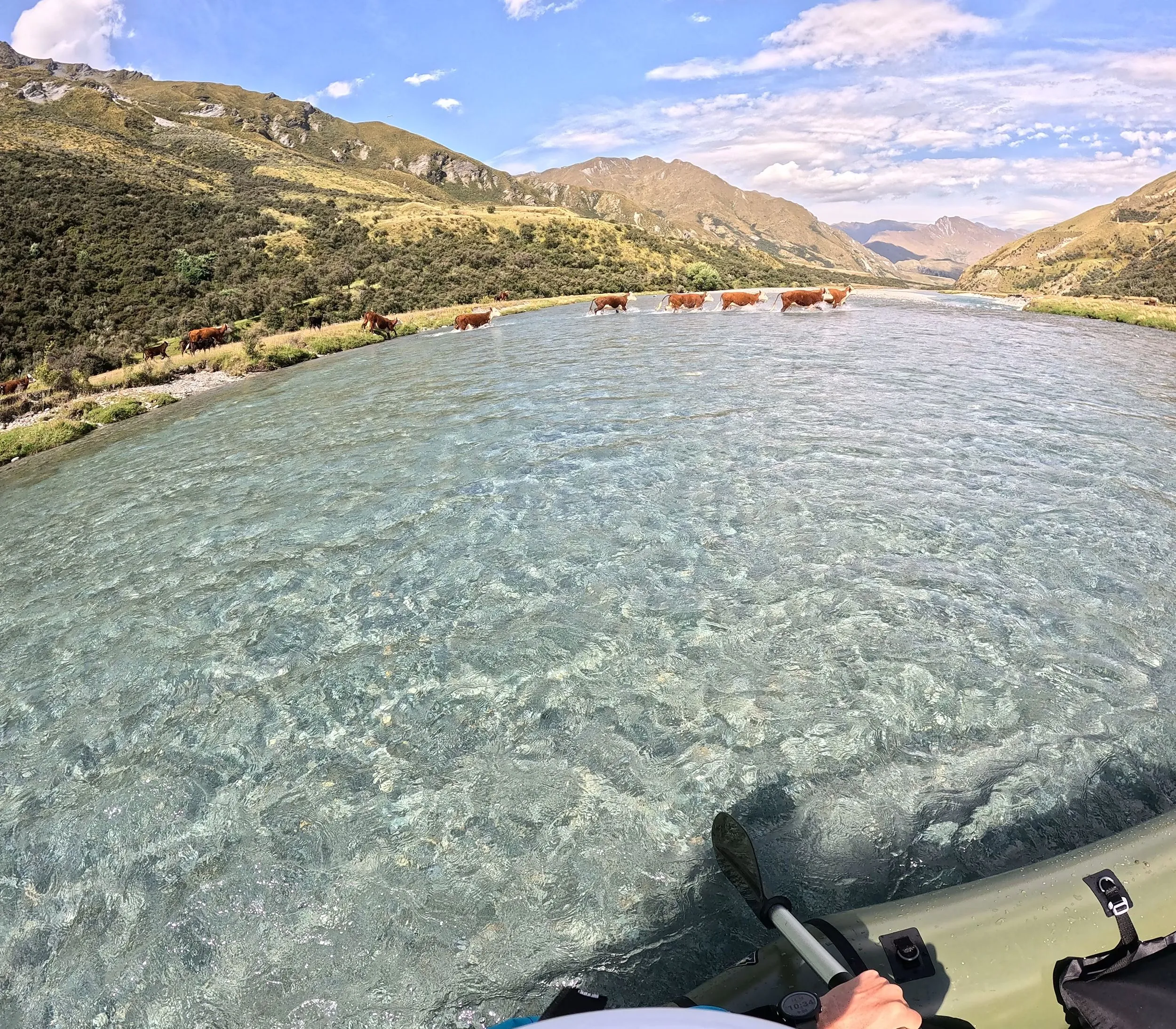 Shotover River from Lake Lochnagar — photo 17
